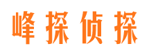 大新侦探公司